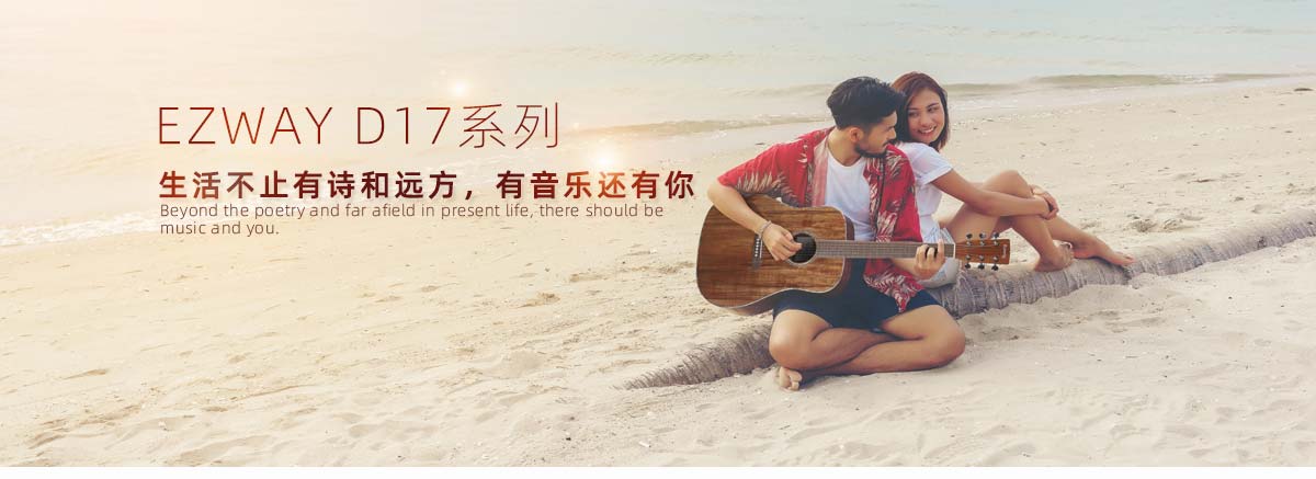 EZWAY D17相思木面单吉他海报